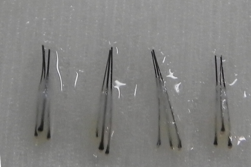 Before: Top view, crown thinning